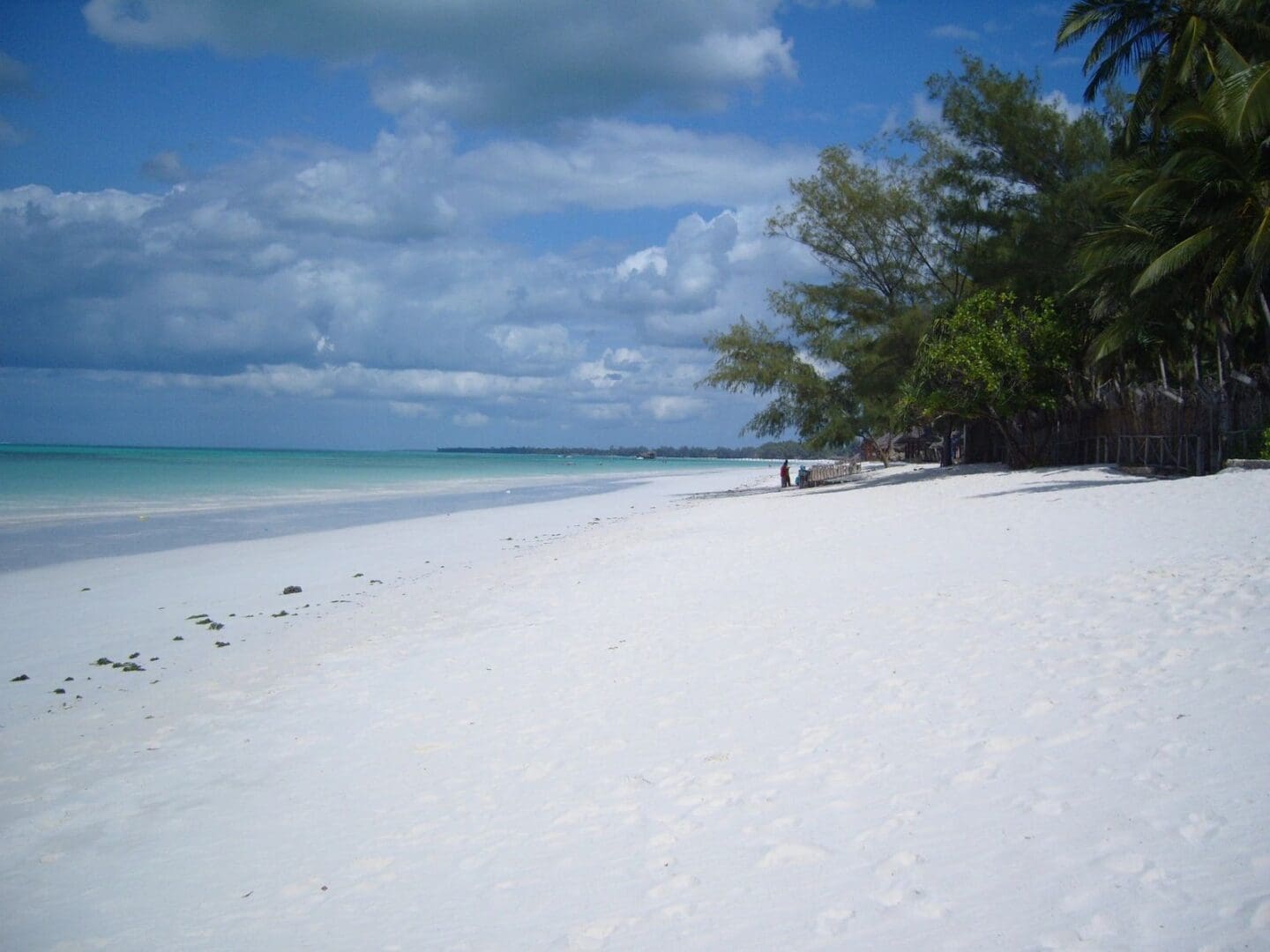A beach with people walking on it and trees in the background.